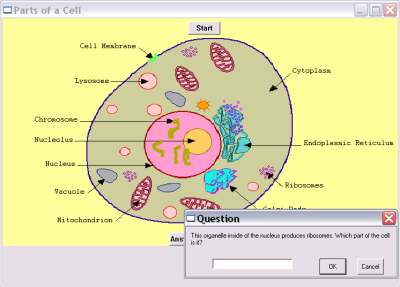 Human cell tutor program